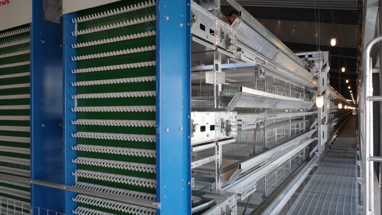 Steel-Structure-Chicken-Industrial-Base-08