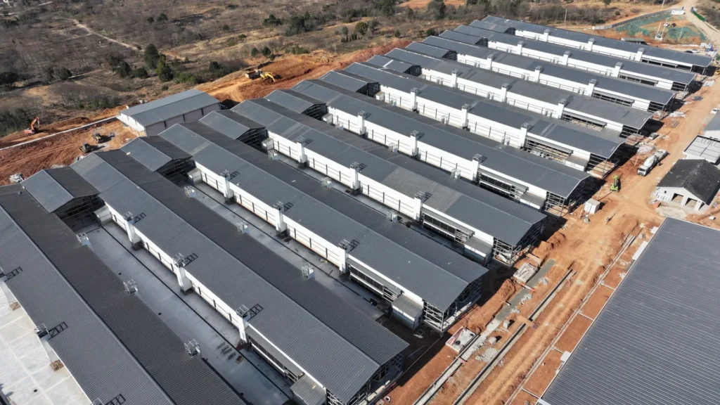 steel structure chicken industrial base 01 1920 1080