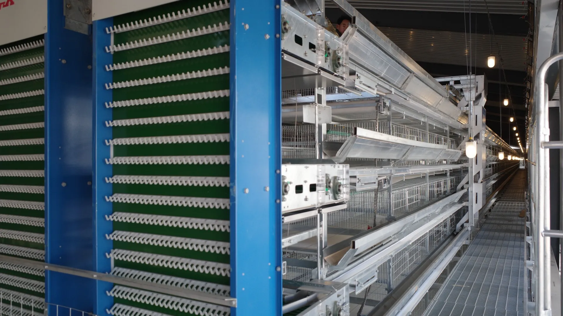 steel structure chicken industrial base 08 1920 1080